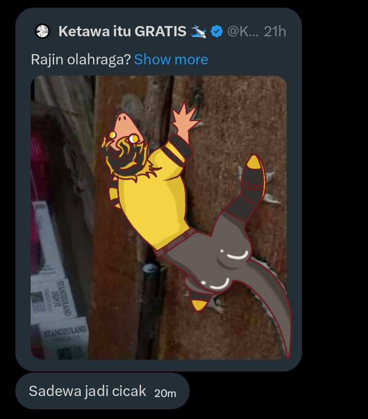 Elvinisme 🐺 tweet media