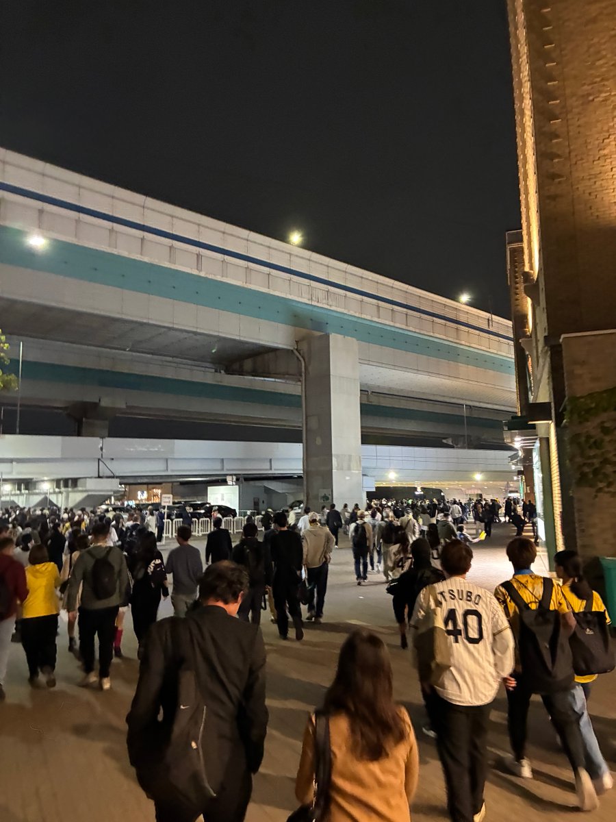 ꉂꉂ🐯とらまっちゃんꉂꉂ🐯 tweet media