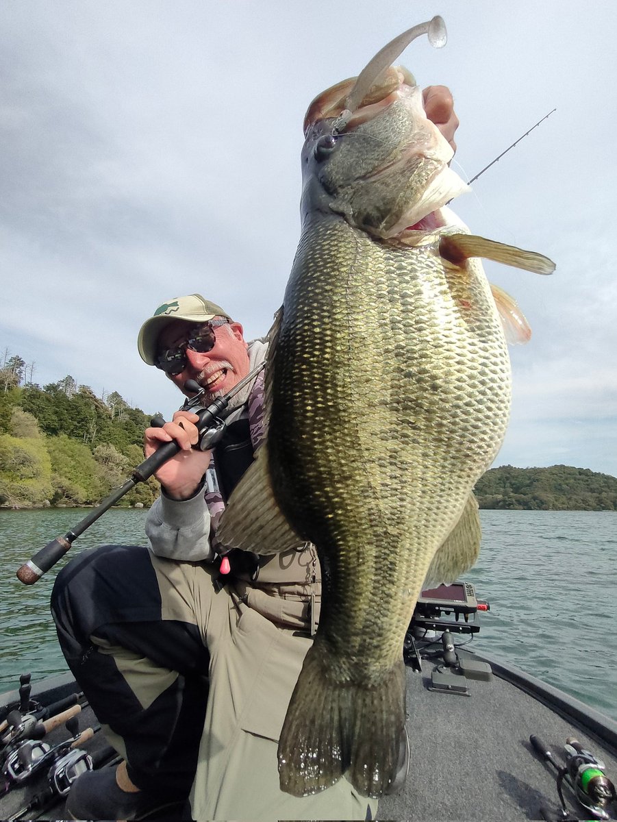 舞木雅和　モギハノン tweet media