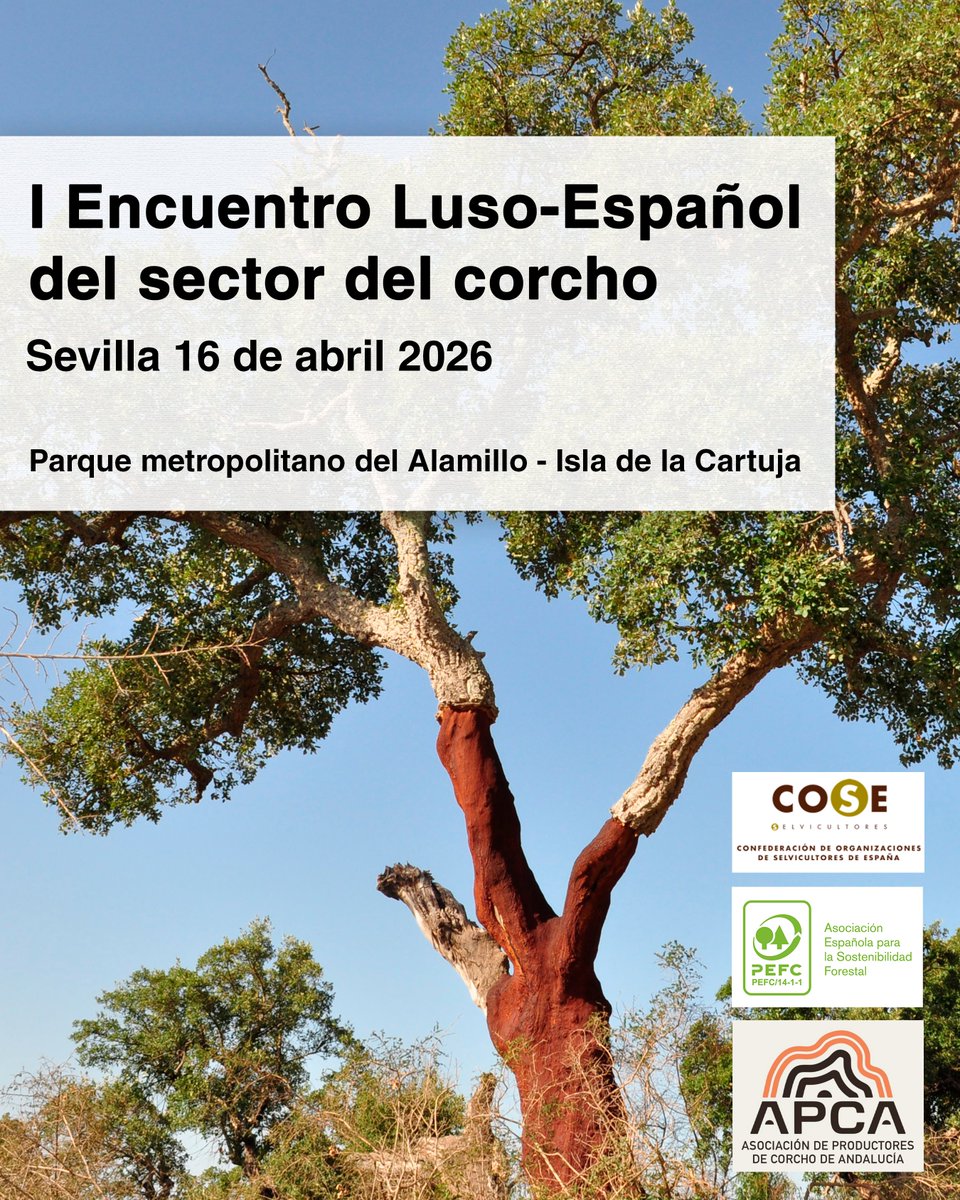 PEFCSpain's tweet photo. Nos alegra colaborar en el I Encuentro Luso-Español del Sector del Corcho (16 de abril, Sevilla).

Un espacio de diálogo sobre sostenibilidad, gestión forestal y futuro del sector.

#SectorForestal #Corcho #Sostenibilidad https://t.co/dPnvhtRNtT
