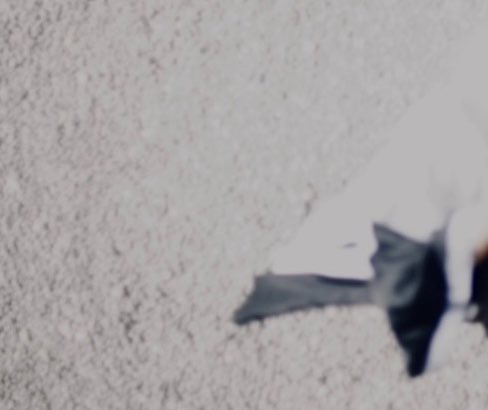 ⎔ み ⎔ tweet media