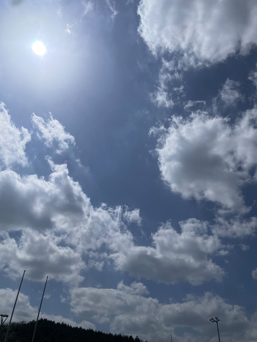 ジット tweet media