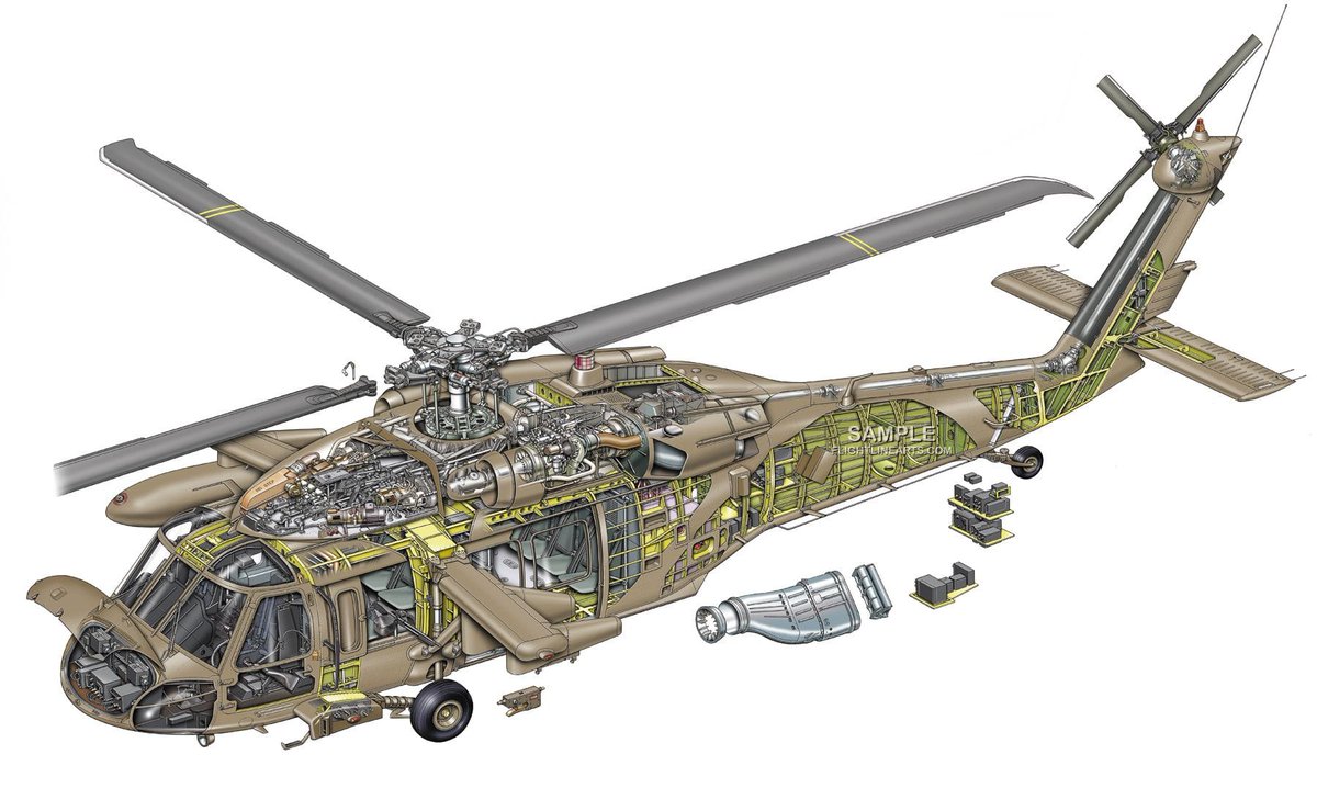 NC 🛩️ tweet media