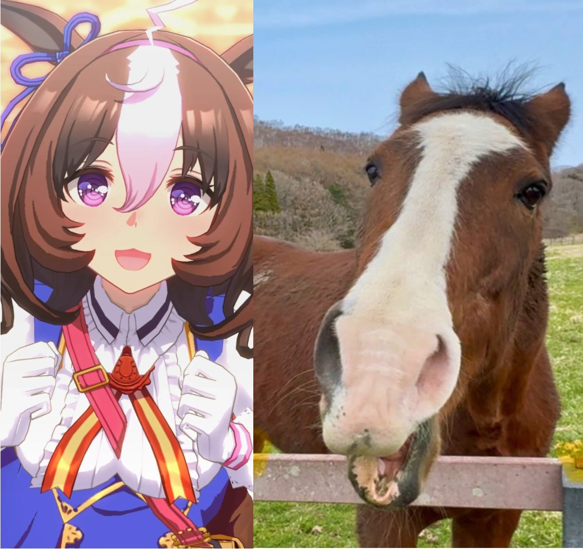 UmaMusume Memes tweet media