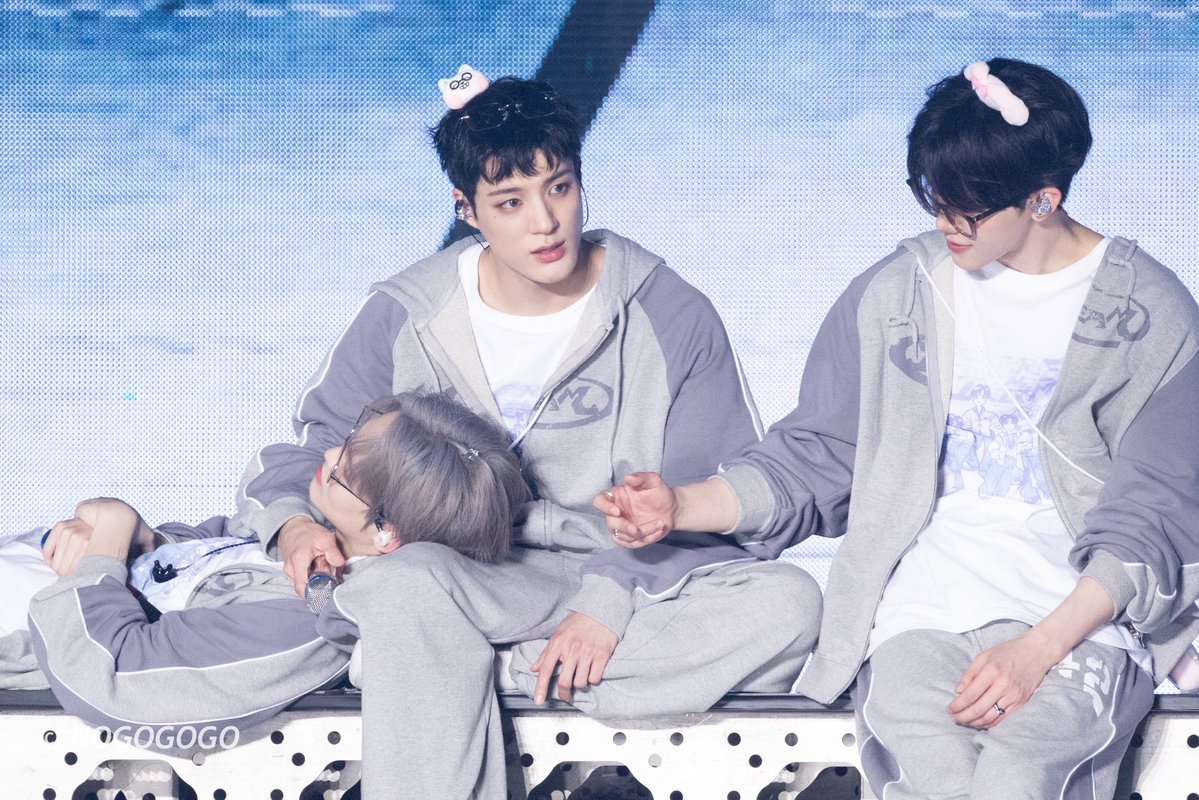 NOGOGOGO tweet media