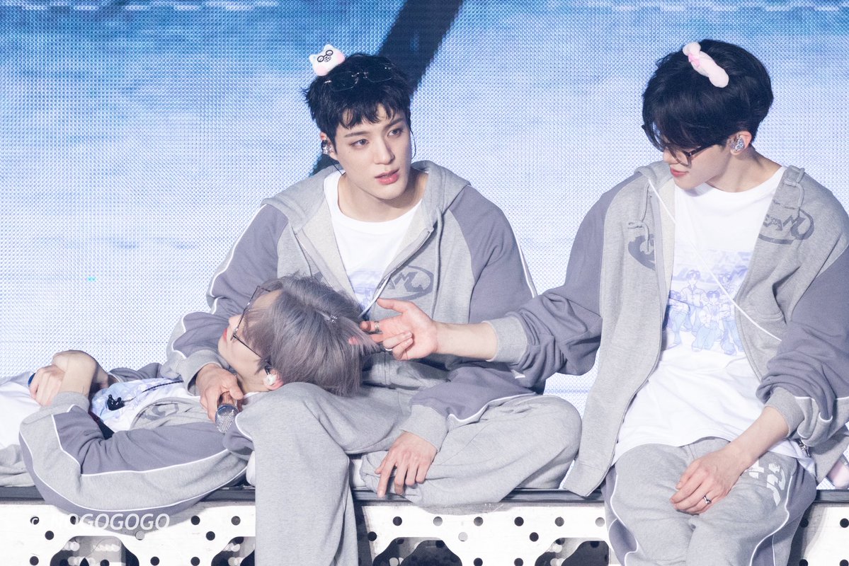 NOGOGOGO tweet media