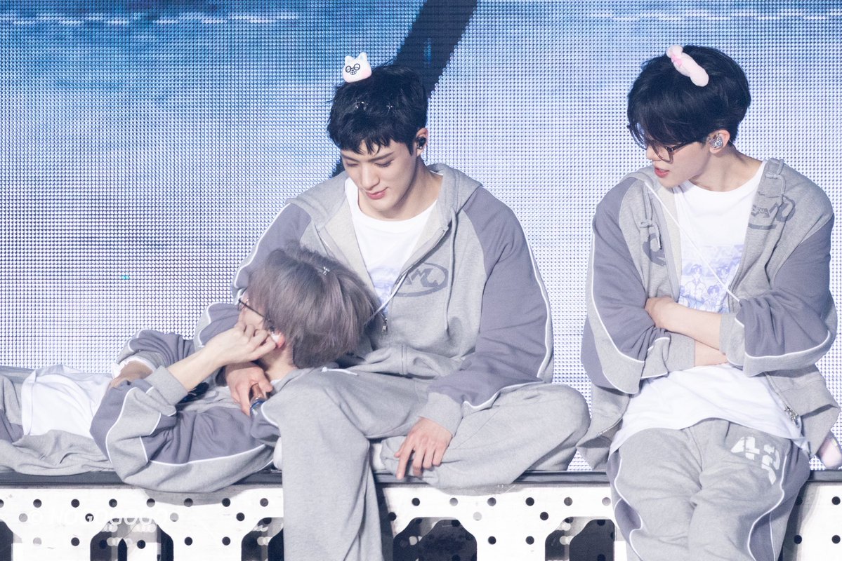 NOGOGOGO tweet media