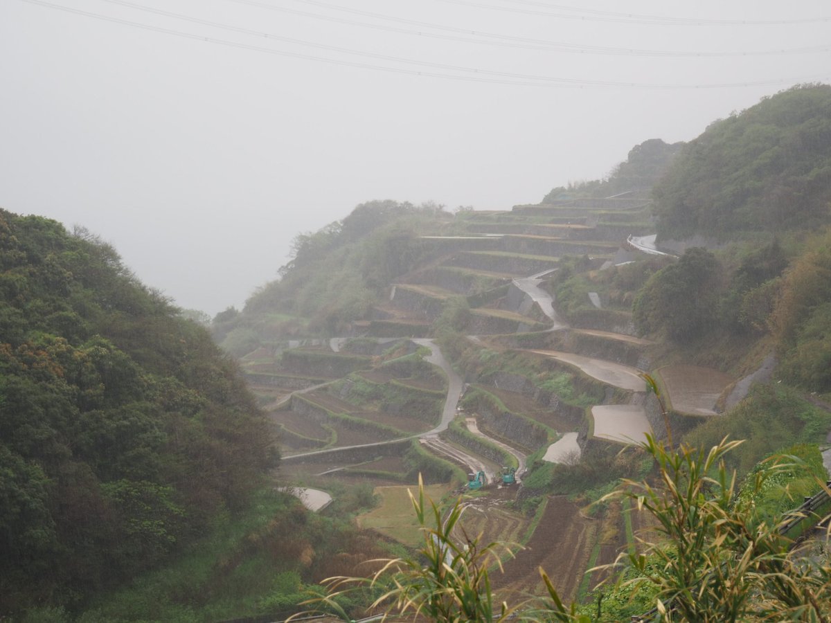 Gino Rondelli tweet media