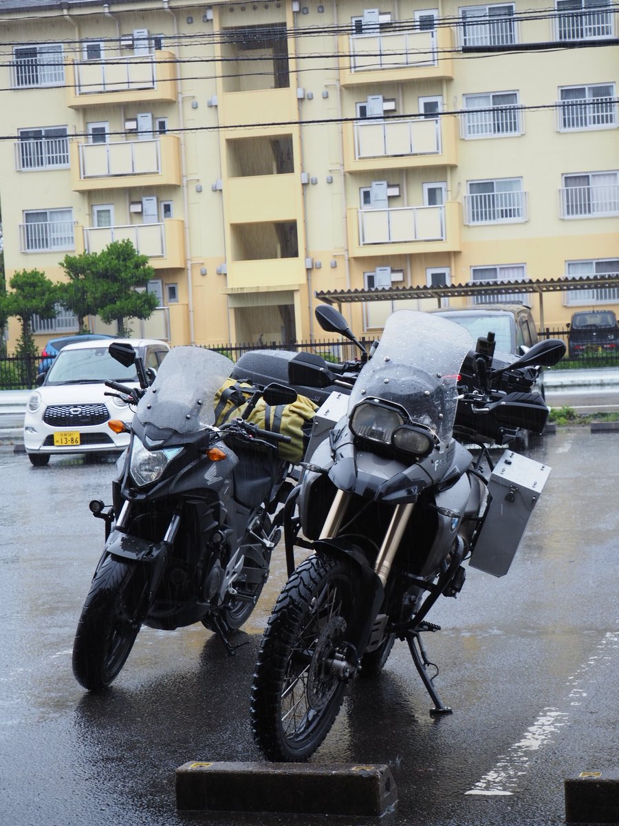 Gino Rondelli tweet media