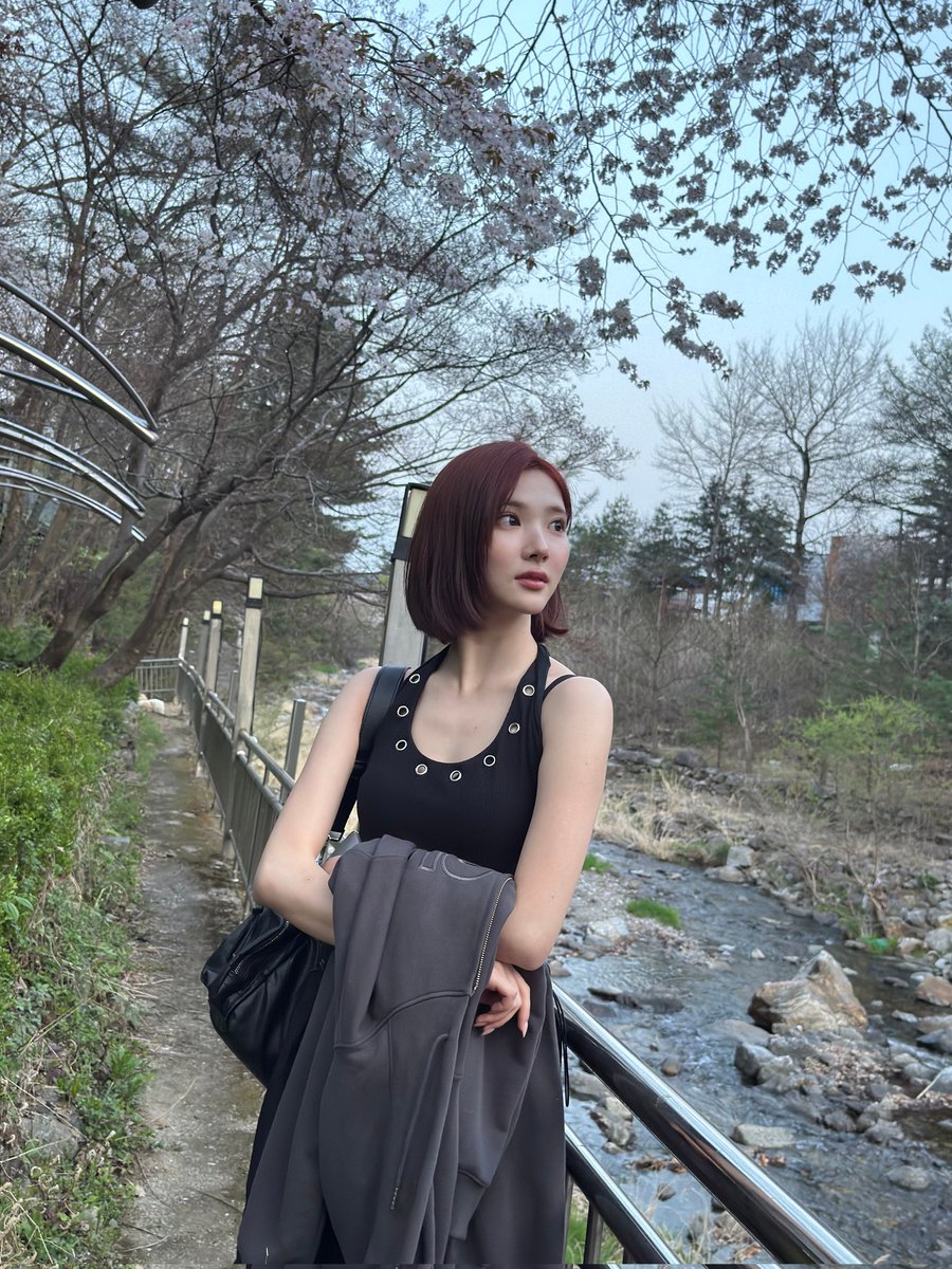 𝐰𝐡𝐞𝐫𝐞 𝐦𝐢𝐧𝐝𝐬 𝐛𝐥𝐨𝐨𝐦 ☘︎ tweet media