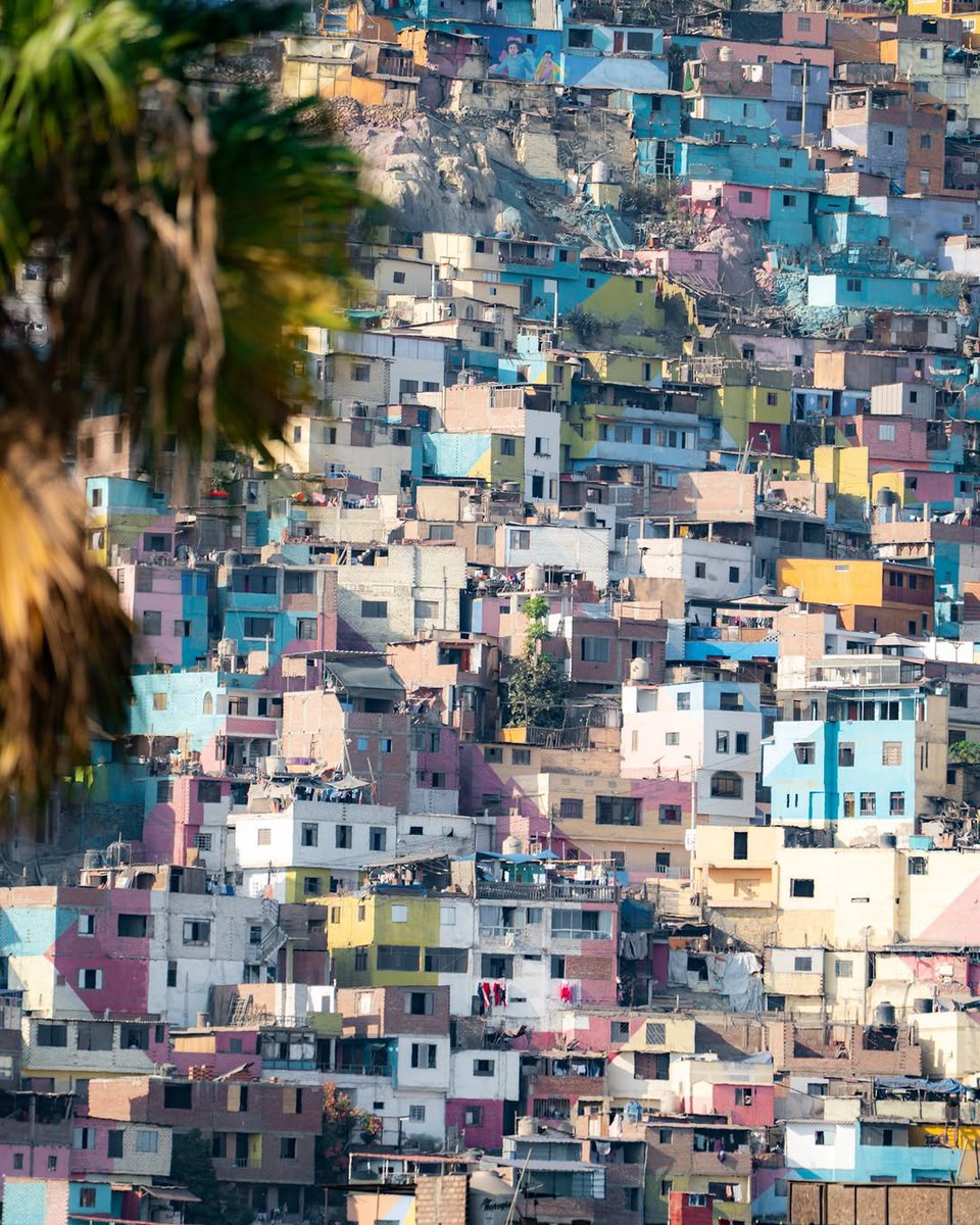 Beauty Explorer tweet media