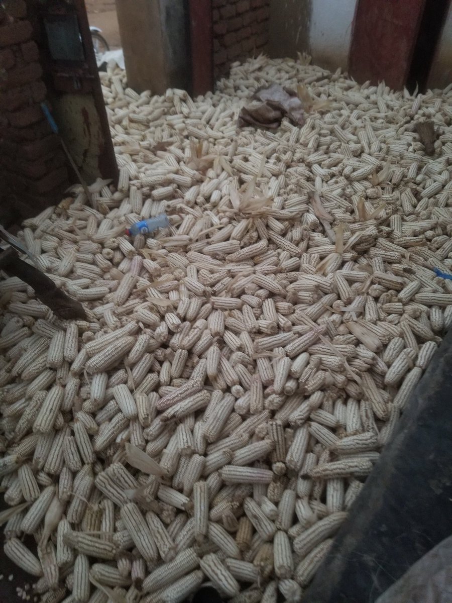 Thank you God tachitengako sanatibele 
Apa lowyer  ofoila  uja azitinyoza titakhuta