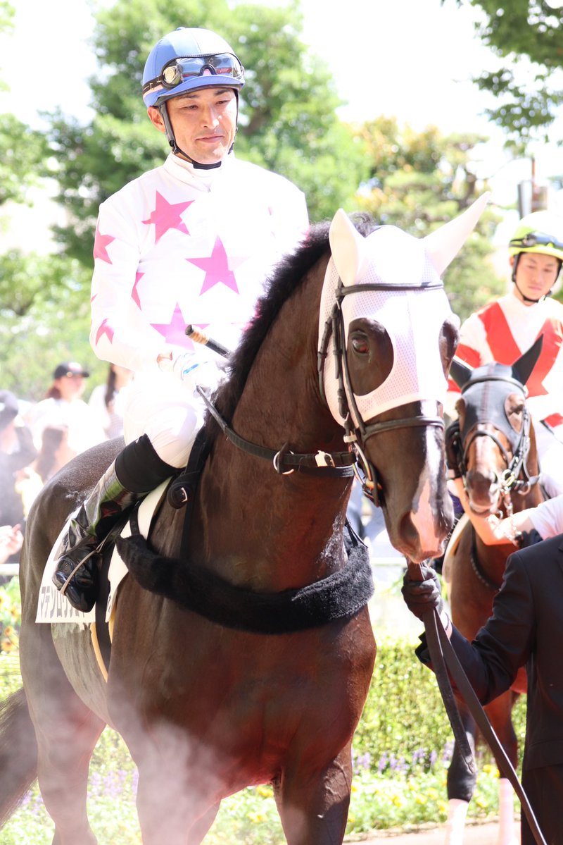 エプソムゆま🏇ダート愛が重馬場🏆🥇 tweet media