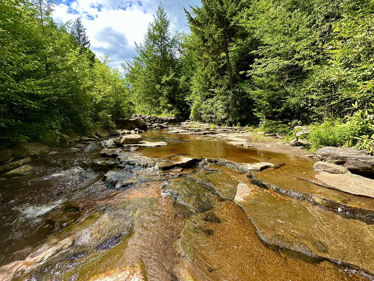 HikingLawyer's tweet image. Today is April 14…which means tomorrow, the gates to FR75 open and backpacking season in Dolly Sods is officially ON!!!  

Summer in the Sods is pure 🔥 

#backpacking #dollysods #wilderness #outdoors