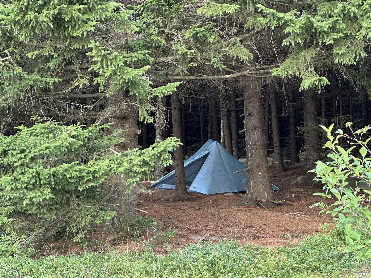 HikingLawyer's tweet image. Today is April 14…which means tomorrow, the gates to FR75 open and backpacking season in Dolly Sods is officially ON!!!  

Summer in the Sods is pure 🔥 

#backpacking #dollysods #wilderness #outdoors