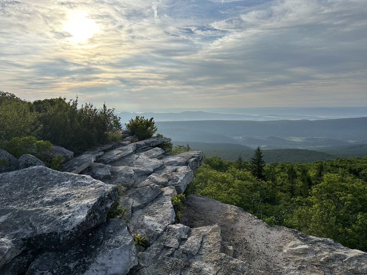 HikingLawyer's tweet image. Today is April 14…which means tomorrow, the gates to FR75 open and backpacking season in Dolly Sods is officially ON!!!  

Summer in the Sods is pure 🔥 

#backpacking #dollysods #wilderness #outdoors