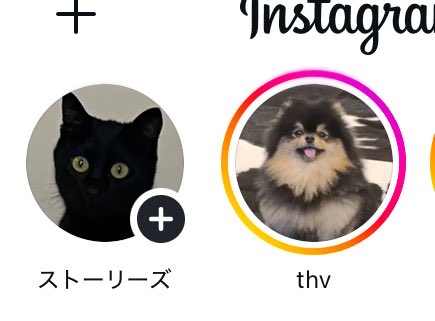 2139whitecat's tweet photo. どうぶつシリーズ https://t.co/wQ17SUKcct