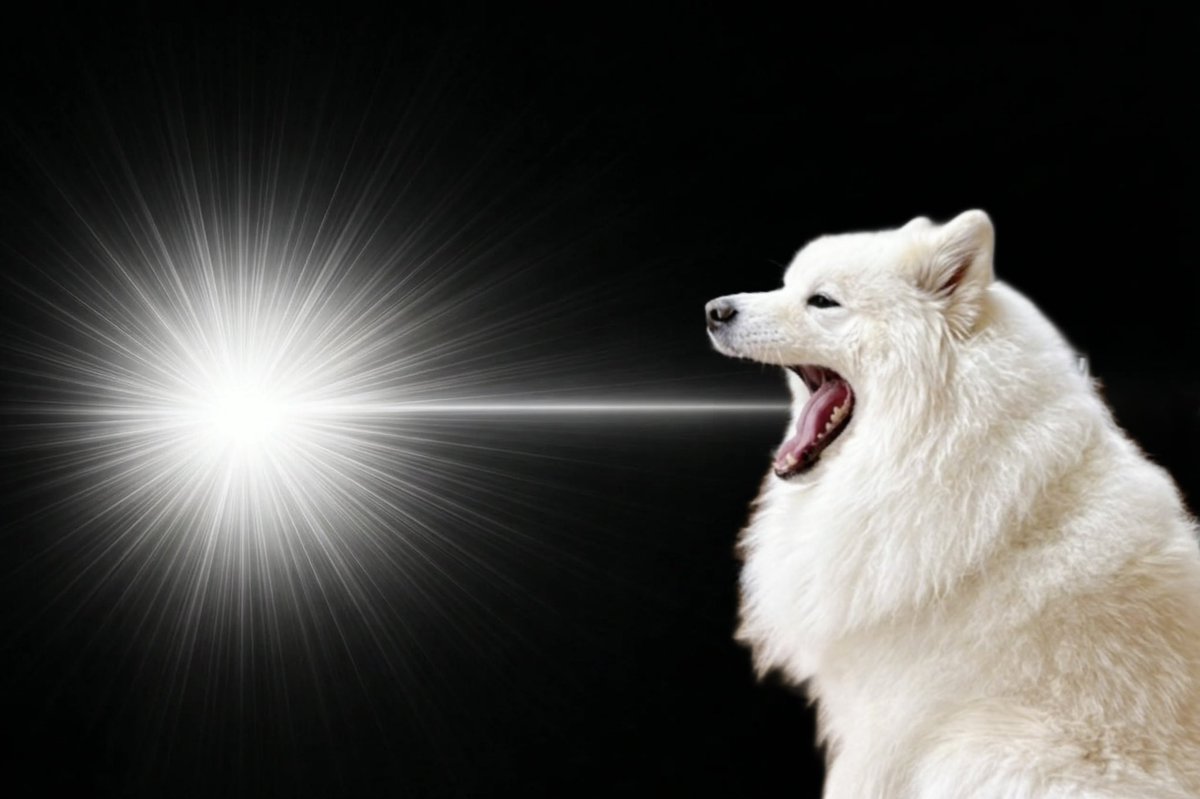 ご飯まだーーー？！