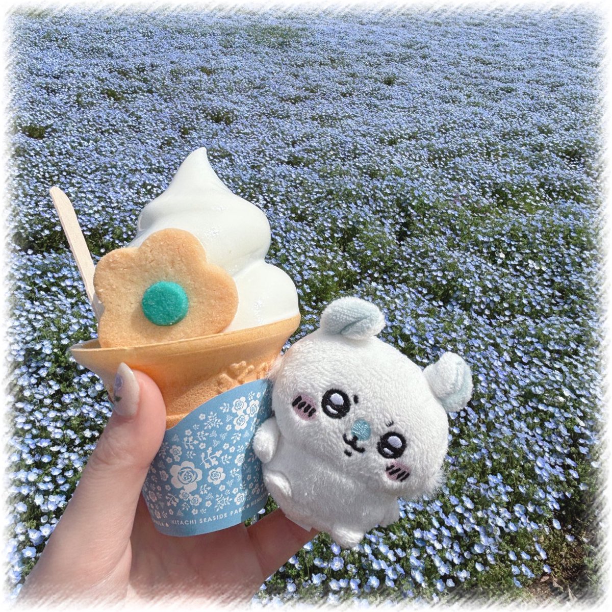 ﾓﾓﾉｽｹ tweet media