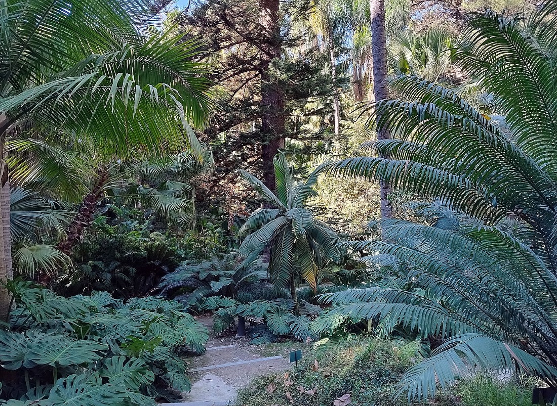 Jardín Botánico La Concepción Málaga tweet media
