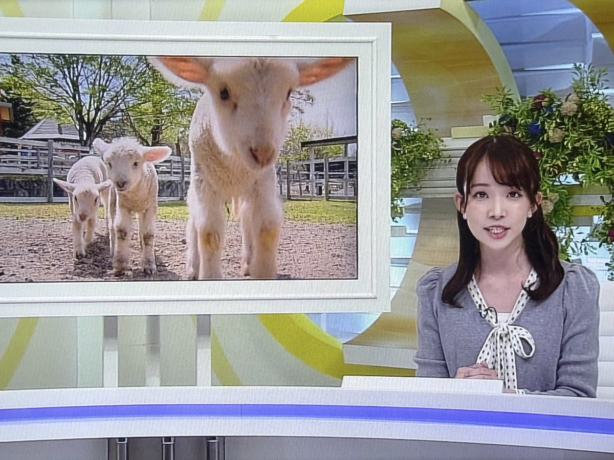 小野桃果(テレビせとうちアナウンサー) tweet media