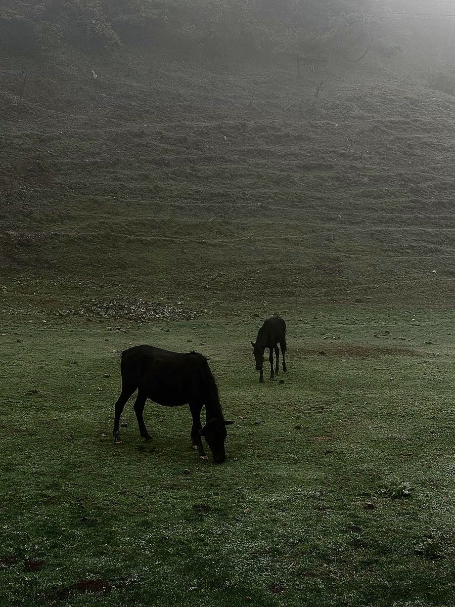 Maecen Miles tweet media