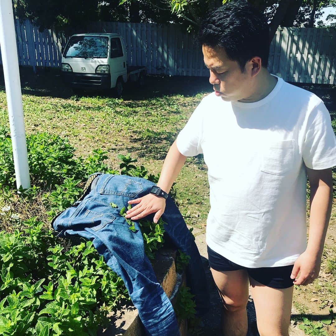 大阪府の赤出汁 tweet media