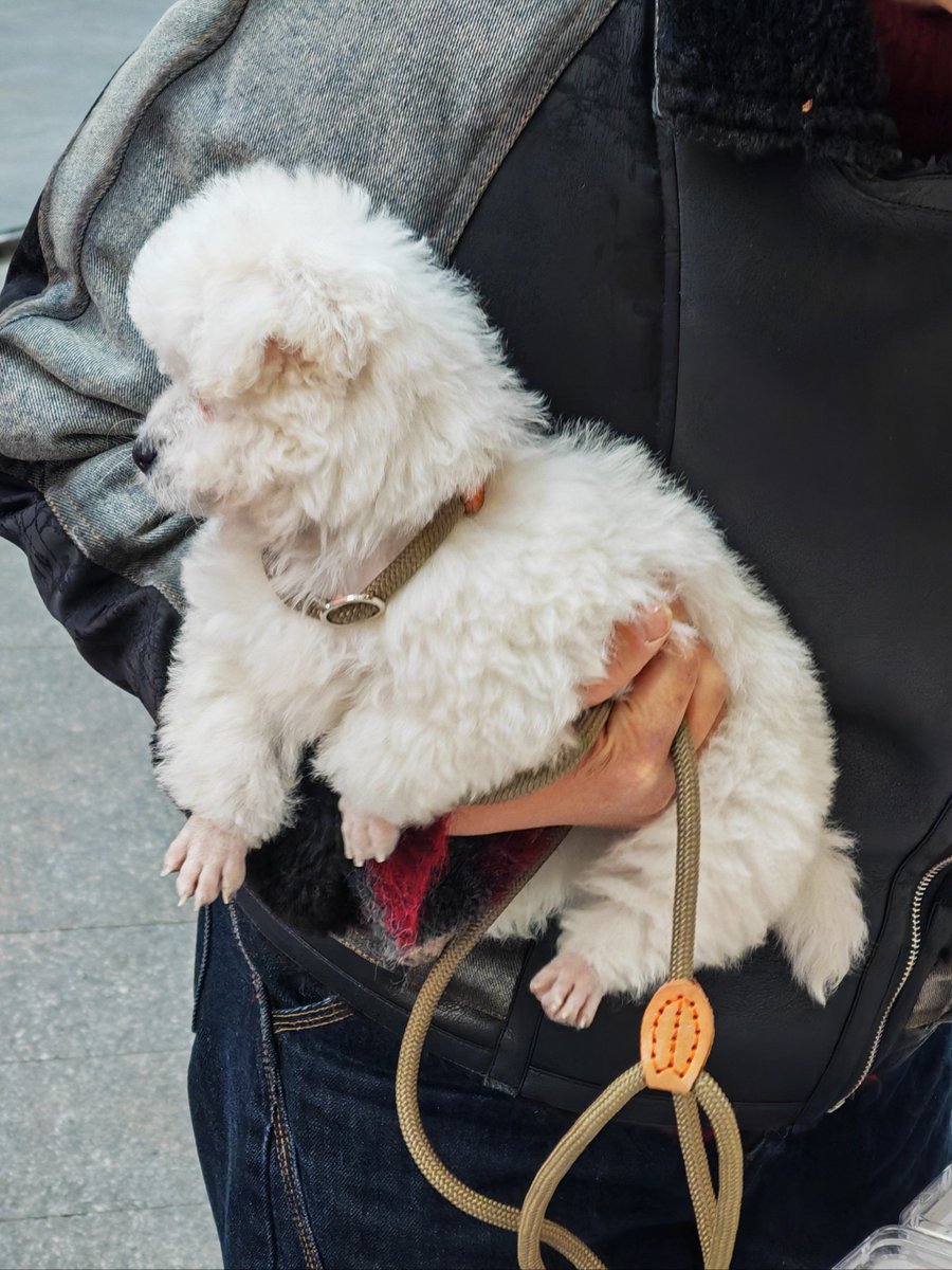 drphilsrent tweet media