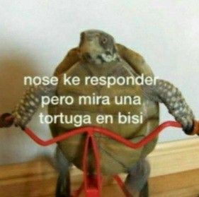 The_toteXD's tweet photo. @CandyNoticias #KeepBrawlAlive
Tacos de chapulin https://t.co/yox8WKuDAE