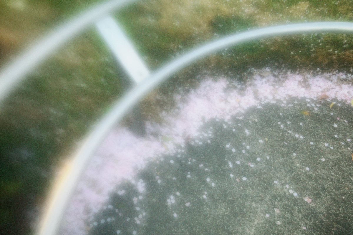 r (@__irs2) on Twitter photo 