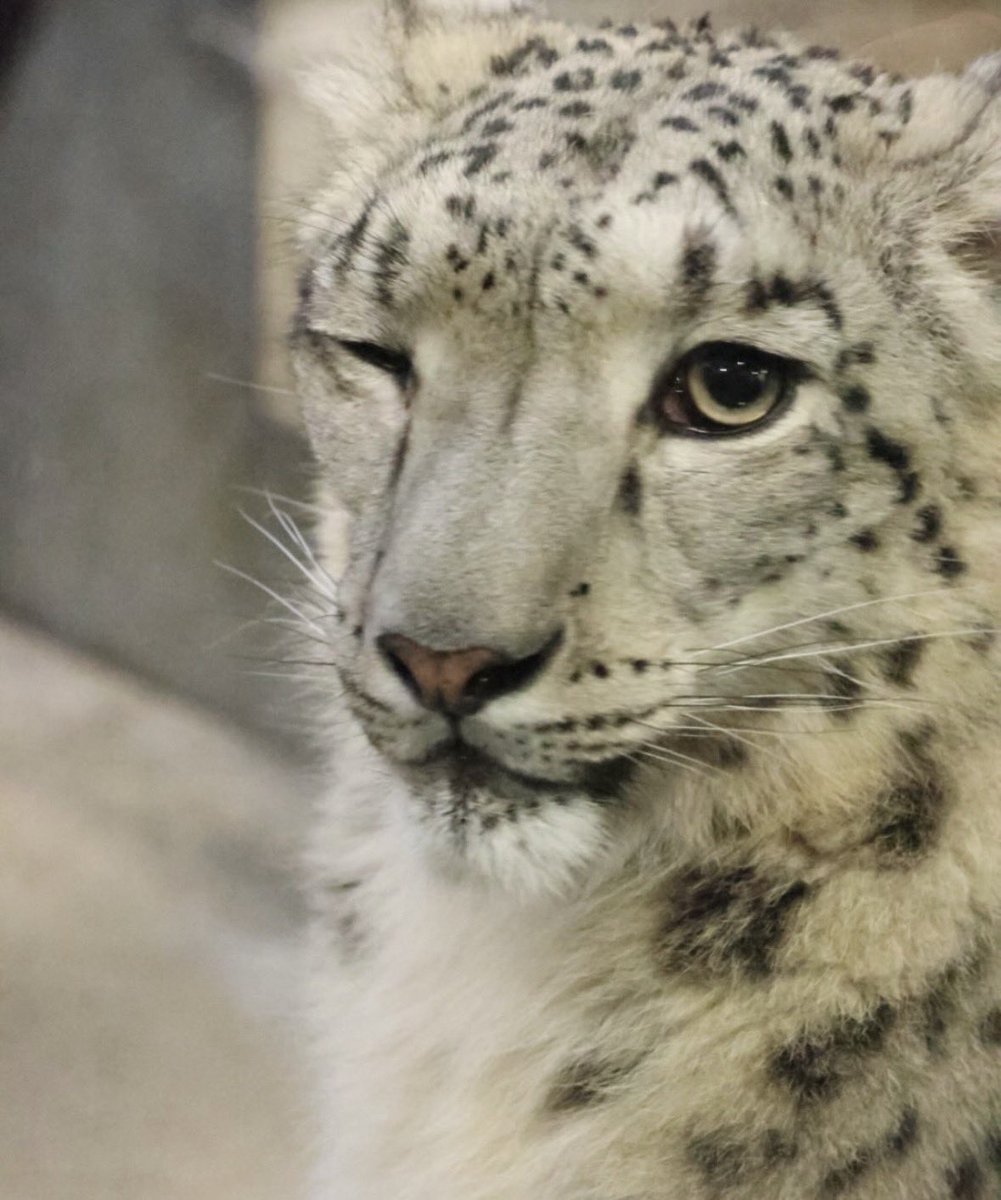 Ajax ⚣ tweet media