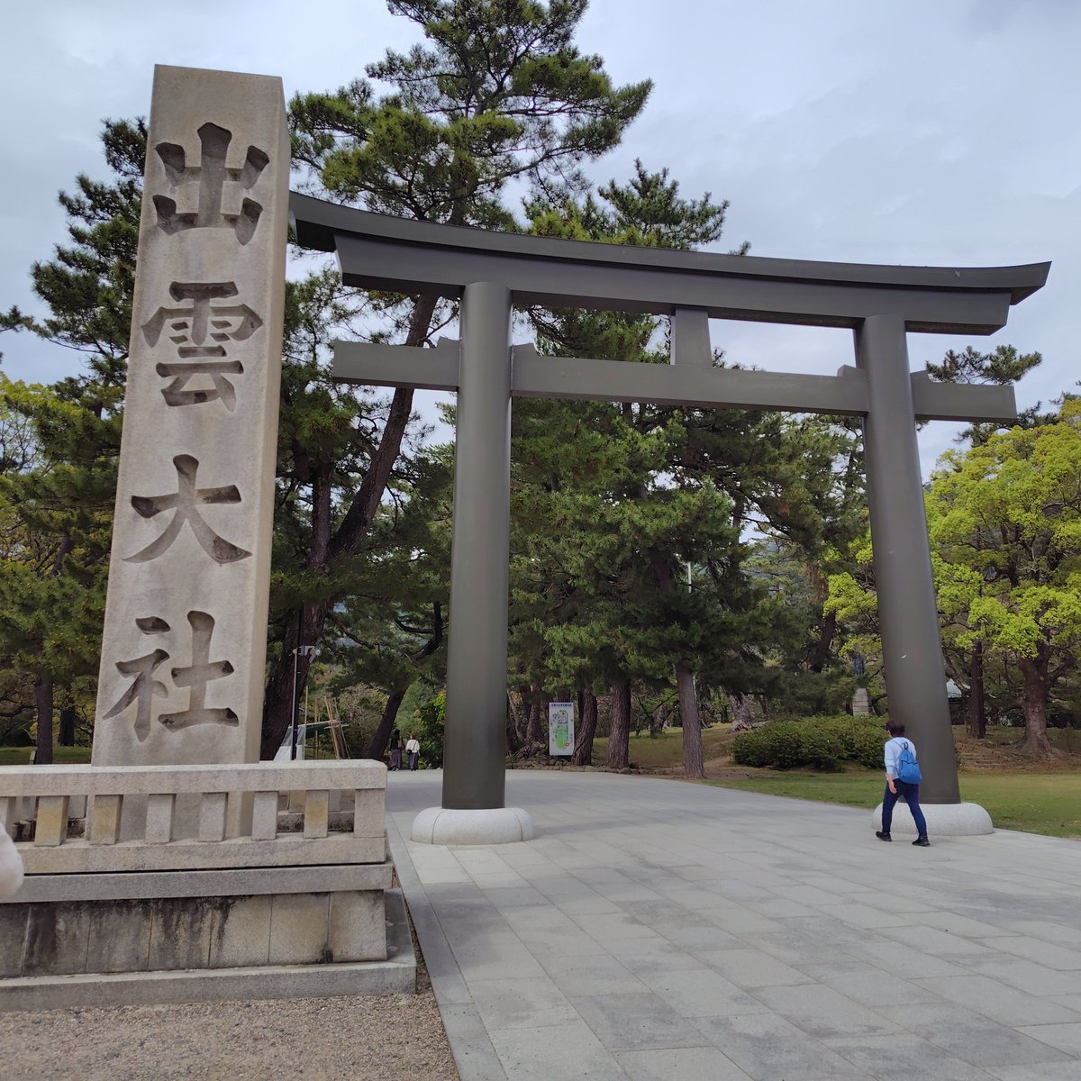 こいさん tweet media