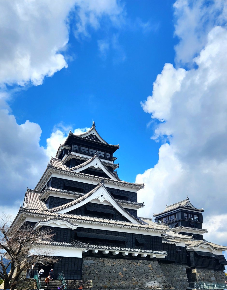 斉藤秀翼-SYUUSUKE SAITO- tweet media