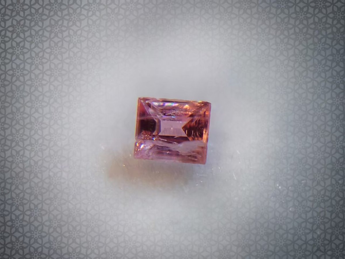 新垢に転生した得丸王里絵(とくまるおりえ)@自称石沼悪役令嬢のマンボウ tweet media