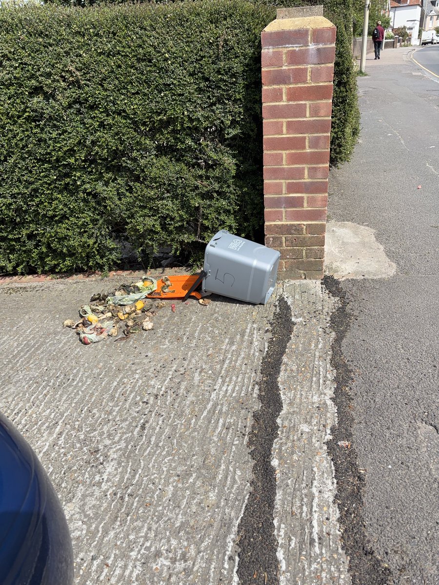 TERRYAZOOME's tweet photo. This is what happens @RotherDC when food waste bins are not collected https://t.co/xTFX7QmmlF