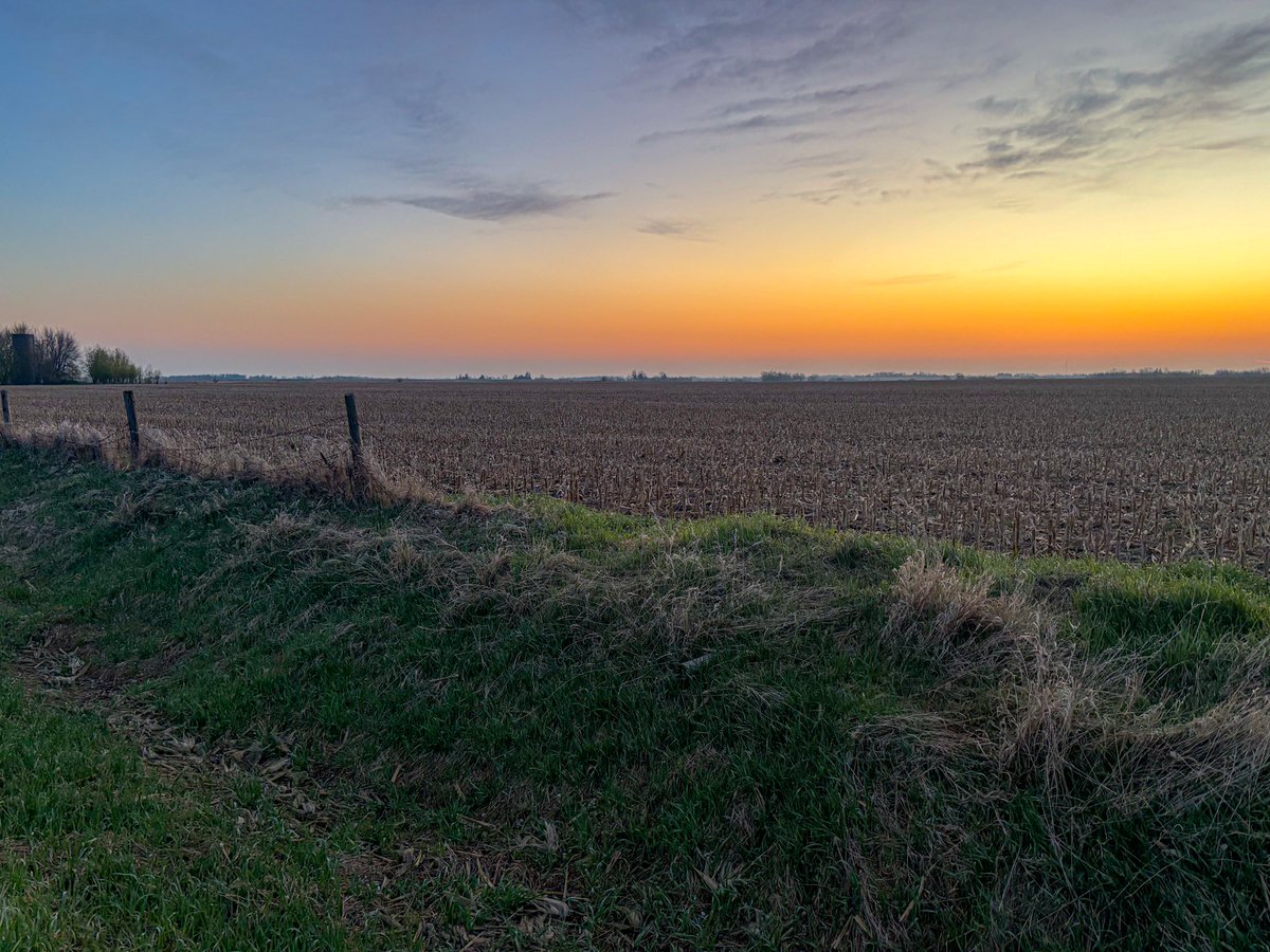 lifeandfitnessfiles tweet media