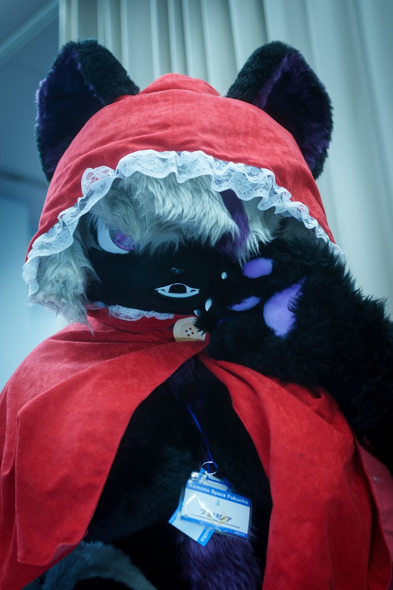 フェリシア tweet media