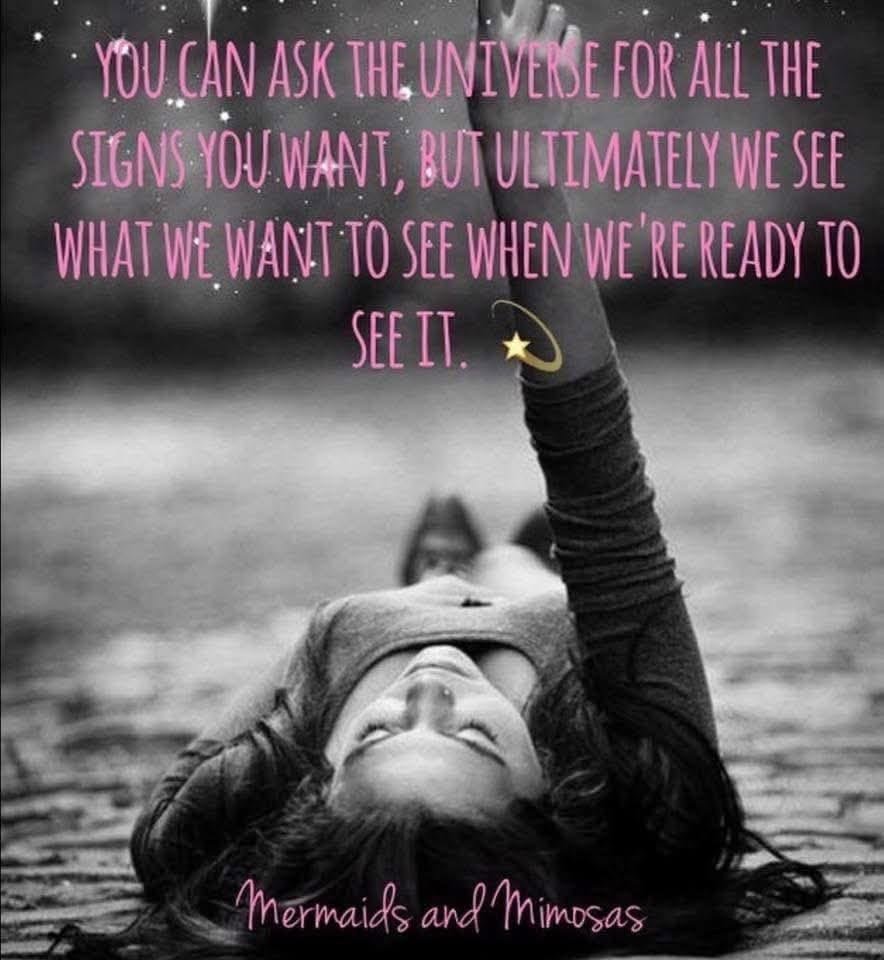 Allyson❤️Wonderland tweet media