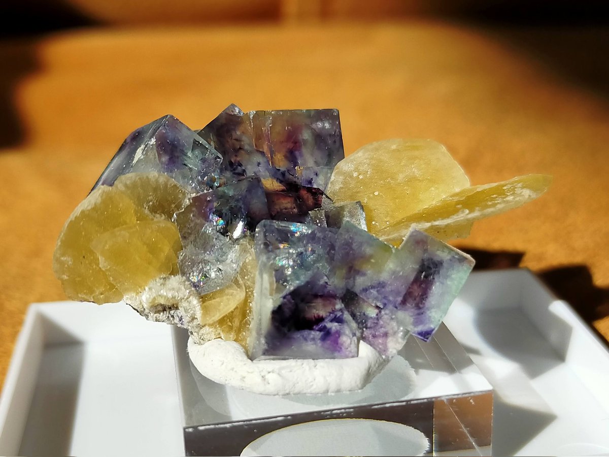 なーこ💎🍟 tweet media