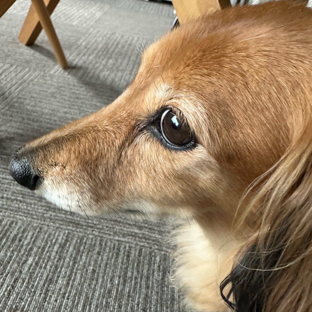 もぉりぃ tweet media