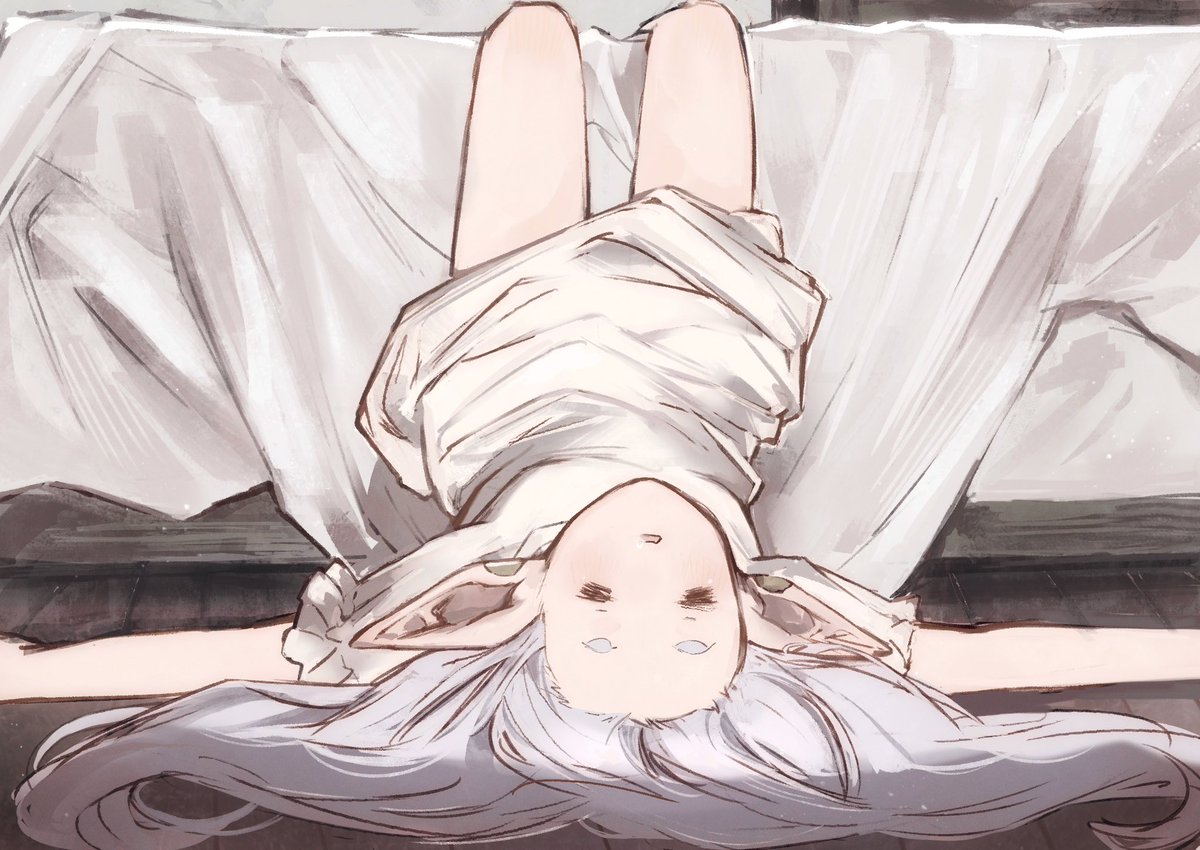 dodo/どう tweet media