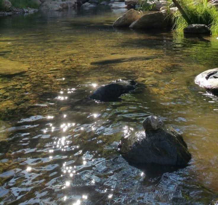 𝓜𝓸𝓸𝓷 tweet media