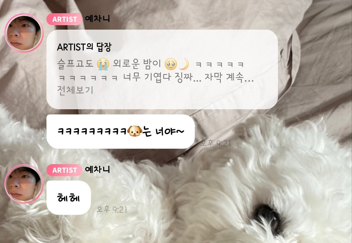 옌ྀི✧·˚ tweet media