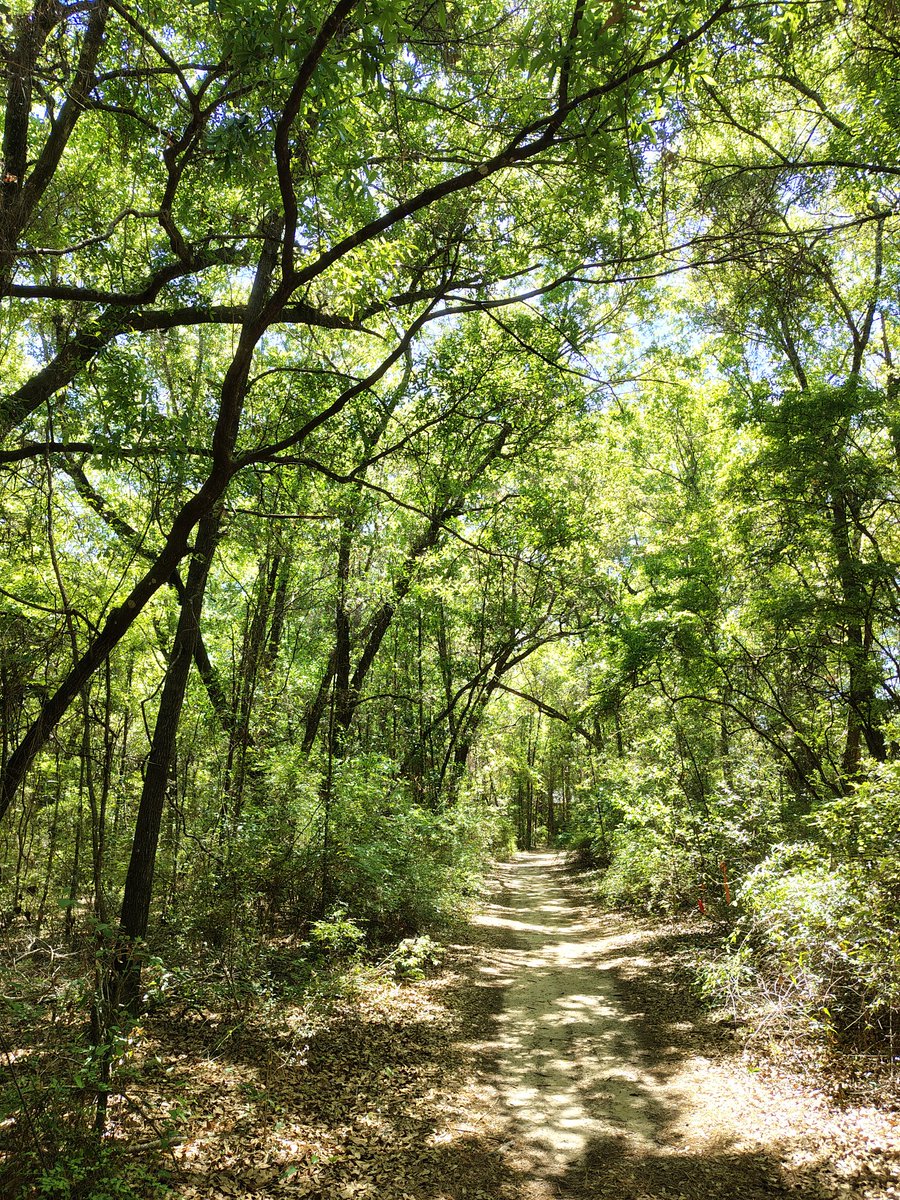 Lifesab5138's tweet image. "The adventure continues"
#photography #hiking #santarosa #florida