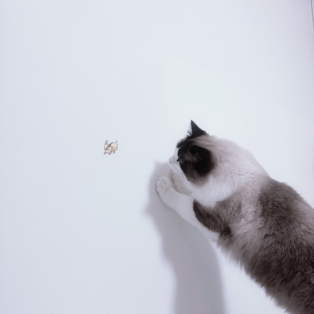 amu@10㌔太りし悲しき𝑴𝒐𝒏𝒔𝒕𝒆𝒓 tweet media