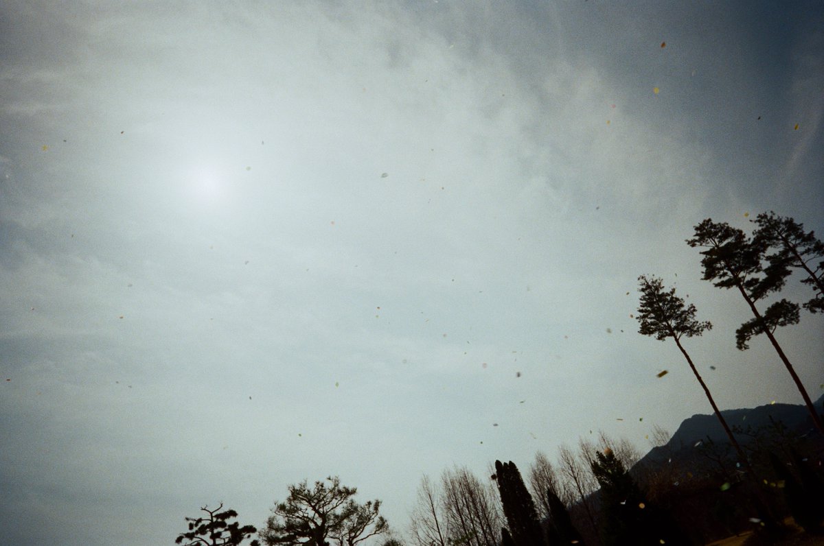 Red Velvet tweet media