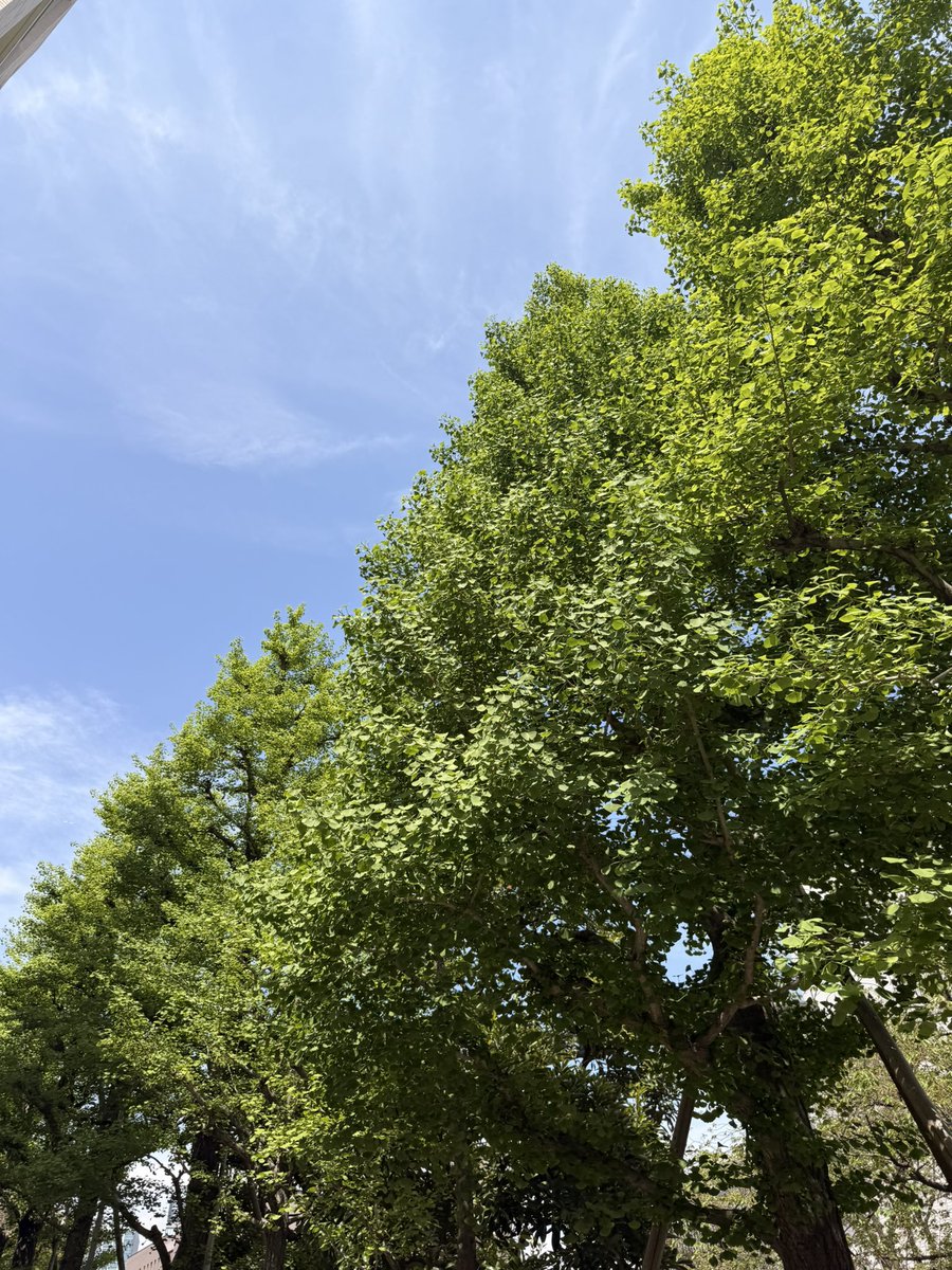 reiji_0907's tweet image. 久しぶりにジャズレッスン受けてきた！

レッスンを受けると体の使い方や
魅せ方を改めて学べぶことができるので
早く体に染み込ませて自分のものにしたい

美里衣先生にも会えて嬉しかったし
やっぱり超絶上手くてかっこいい
憧れの先生です✨

#吉元美里衣 #ジャズ #SET #零時