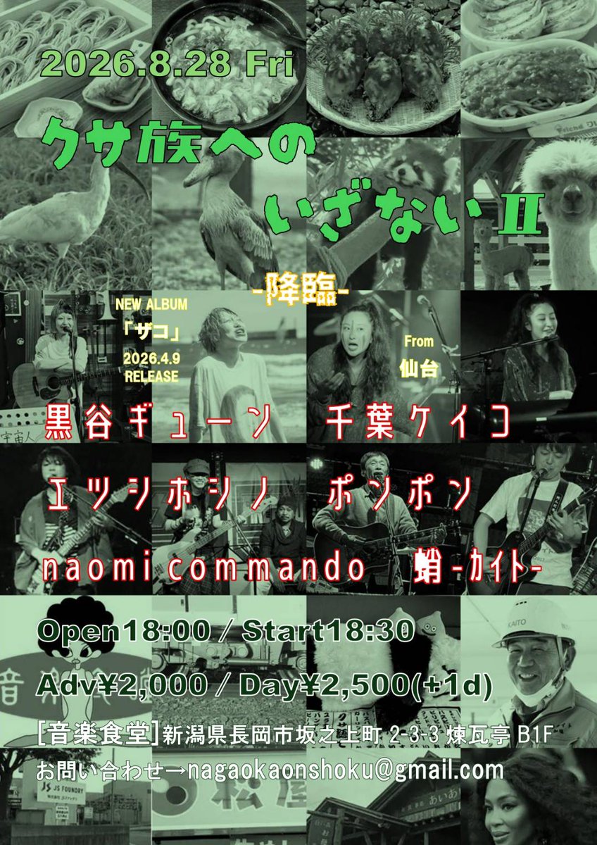 音楽食瞠 tweet media