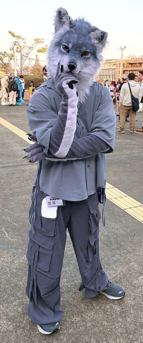 こりいぬ tweet media