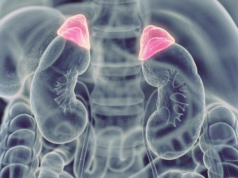 NutriScience tweet media